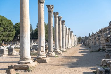 Türkiye 'deki Efes Antik Kenti. Türkiye' nin en popüler turistik beldelerinden biri. Antik Roma mimarisi.