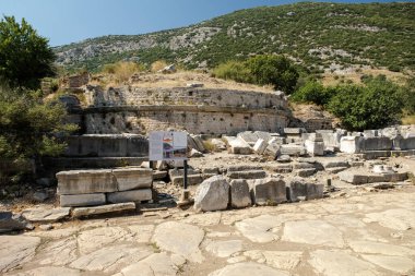 Türkiye 'de seyahat. Celchuk yakınlarındaki Efes şehrinin antik arkeolojik kalıntıları. 09-08-2023 Efes İzmir Türkiye