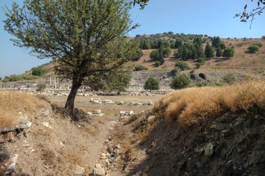 Türkiye 'de seyahat. Celchuk yakınlarındaki Efes şehrinin antik arkeolojik kalıntıları. 09-08-2023 Efes İzmir Türkiye