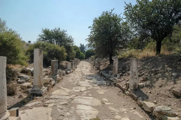 Türkiye 'de seyahat. Celchuk yakınlarındaki Efes şehrinin antik arkeolojik kalıntıları. 09-08-2023 Efes İzmir Türkiye