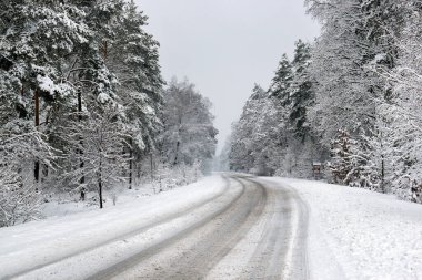 Kış ormanı ağaçları karlar altında. Muhteşem kış manzarası. Ulusal Park. Carpathian, Ukrayna, Avrupa. Güzellik dünyası. Kış ormanı patikası, soğuk mevsim. Çok fazla kar var. Kış ormanında yol