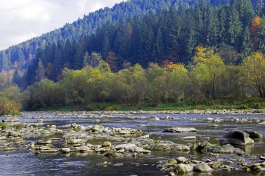 dağlar, taştan sahil, dağ nehri, sonbahar ormanı ve bulutlu gökyüzü. Kayalık kıyıları olan dağ nehri. Dağlarda güneşli bir gün. Batı doğası. Turizm, Karpatlara seyahat.