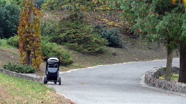 Sonbahar parkında bebek arabası. Bebek arabası ya da itme koltuğu. Terk edilmiş çocuk, yalnızlık, yetim. Sonbahar parkı sahnesi, tek kullanımlık bebek arabası ve canlı yeşilliklerle. Böcek sonbahar yolunda dinleniyor.