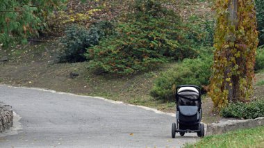 Sonbahar parkında bebek arabası. Bebek arabası ya da itme koltuğu. Terk edilmiş çocuk, yalnızlık, yetim. Sonbahar parkı sahnesi, tek kullanımlık bebek arabası ve canlı yeşilliklerle. Böcek sonbahar yolunda dinleniyor.