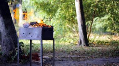 Parkta, doğada, yemek pişirmek için. Hafta sonları ya da tatillerde dışarıda. Et, balık, sebze pişirmeden önce yoğun duman. Metal brazier, yakacak odun yanıyor. Metin için boşluk