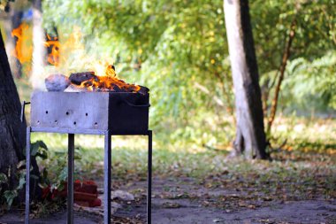 Ateş, ateş. Parkta, doğada, yemek pişirmek için. Hafta sonları ya da tatillerde dışarıda. Et, balık, sebze kızartmadan önce. Metal brazier, yakacak odun yanıyor. Metin için boşluk