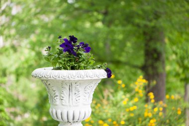 Bahar parkında çiçekli vazolar. Arka planda ağaçların ve çalıların sarı yeşil yaprakları olan bir kır bahçesinde bitkilerle dolu taş bir kap. Güzel çiçekler, yaz bahçesindeki çiçek tarhı.