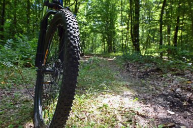 Dağ bisikletinin ön tekerleği. Dağ bisikleti. Orman yolunda duruyor. Bisiklet konsepti, tamir ya da bozulma, spor, açık hava aktiviteleri. Bisiklet yolda, ön tekerlek odakta. Metin için boşluk