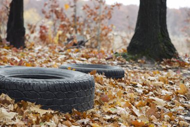 Doğadaki ağaçlar arasında siyah eski araba lastikleri. Çevre kirliliği. Ekoloji sorunları. Sonbahar yapraklarında araba lastikleri ormana atılır.. 
