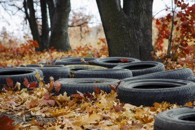 Doğadaki ağaçlar arasında siyah eski araba lastikleri. Çevre kirliliği. Ekoloji sorunları. Sonbahar yapraklarında araba lastikleri ormana atılır.