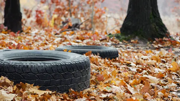 Doğadaki ağaçlar arasında siyah eski araba lastikleri. Çevre kirliliği. Ekoloji sorunları. Sonbahar yapraklarında araba lastikleri ormana atılır.