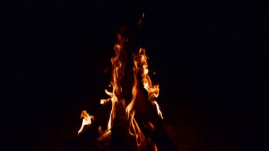 Yakacak odun yakar, gece ateş kömürü yakar. Ölen bir kamp ateşi çukurunda yanan kızgın kömürler. Geceleri kazıktaki kömürlerden portakal parlıyor. Siyah arkaplanda alevler