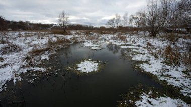 Göl kenarındaki kış manzarasında phragmitler ve ağaçlar var. Nehirdeki buz, ortak sazlık. Nehir kıyısında. Kışın gölün kenarında bir grup sazın arkasında. Dondum, soğuk bir kış gününde
