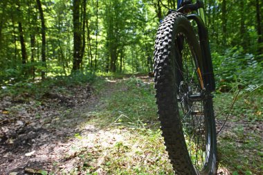 Dağ bisikletinin ön tekerleği. Dağ bisikleti. Orman yolunda duruyor. Bisiklet konsepti, tamir ya da bozulma, spor, açık hava aktiviteleri. Bisiklet yolda, ön tekerlek odakta. Metin için boşluk