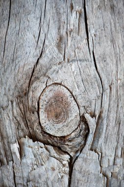 Tahta desenli eski tahtalar. Dikey, antika tahtalar. Sunumlar ve metin için şık bir arkaplan. Eski tahtaların soyut dokusu. Ahşap yok oldu. Ahşap doku. Düğümler, kusurlu yüzey