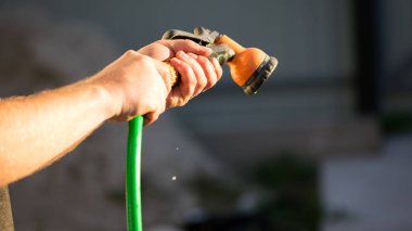 Çim sulama hortumu elinde. Fıskiye, sulama suyu, arka bahçeyi sulama. Yeşil hortum, turuncu sprey, erkek eli, yakın çekim.