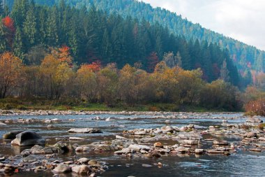 dağlar, taştan sahil, dağ nehri, sonbahar ormanı ve bulutlu gökyüzü. Kayalık kıyıları olan dağ nehri. Dağlarda güneşli bir gün. Batı doğası. Turizm, Karpatlara seyahat.
