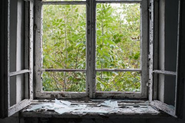 Smashed glass Window with old wooden frame. old window. finely broken glass. old house, retro. cracked window frame. cracked old paint, pieces of glass. close-up, space for text. horror, halloween clipart