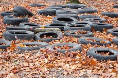 Doğadaki ağaçlar arasında siyah eski araba lastikleri. Çevre kirliliği. Ekoloji sorunları. Sonbahar yapraklarında araba lastikleri ormana atılır..