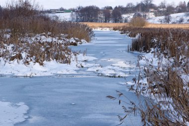 Göl kenarındaki kış manzarasında phragmitler ve ağaçlar var. Nehirdeki buz, ortak sazlık. Nehir kıyısında. Kışın gölün kenarında bir grup sazın arkasında. Dondum, soğuk bir kış gününde