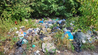 Kyiv, Ukrayna, 19.08.2024. Ormanda çöp yığınları, doğaya rastgele atılanlar. Pis kokulu hurda, plastik torba ve şişeler, doğanın kirli otlarının içindeki çöpler. Ekoloji. Yazı