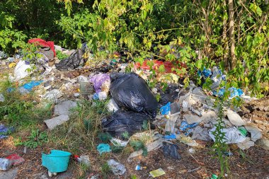 Kyiv, Ukrayna, 19.08.2024. Ormanda çöp yığınları, doğaya rastgele atılanlar. Pis kokulu hurda, plastik torba ve şişeler, doğanın kirli otlarının içindeki çöpler. Ekoloji. Yazı