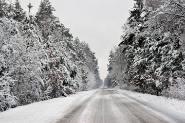Kış ormanı ağaçları karlar altında. Muhteşem kış manzarası. Ulusal Park. Carpathian, Ukrayna, Avrupa. Güzellik dünyası. Kış ormanı patikası, soğuk mevsim. Çok fazla kar var. Kış ormanında yol