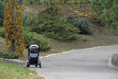 Sonbahar parkında bebek arabası. Bebek arabası ya da itme koltuğu. Terk edilmiş çocuk, yalnızlık, yetim. Sonbahar parkı sahnesi, tek kullanımlık bebek arabası ve canlı yeşilliklerle. Böcek sonbahar yolunda dinleniyor.