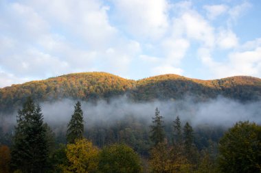 Orman dağları mavi gökyüzü. Güzel dağların muhteşem manzarası, manzarası. Dramatik sıradışı sahne. Seyahat geçmişi. Güzellik dünyasını keşfediyorum. Karpat Dağları. Ukrayna. Avrupa.