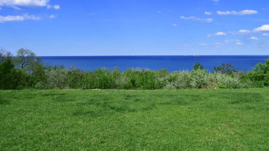 Yeşil çayır ve mavi deniz. Güneşli bir yaz günü, deniz manzarası. Güzel bir çimen ve mavi su. Sıcak hava. Arka planda denizde bir gemi var. Yaz tatili. seyahat, turizm, tatil beldesi