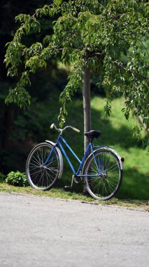 Bahçedeki yeşil çimenlikte bisiklet, şehir parkı. Parktaki bisiklet. Mavi bir bayanın bisikleti bir ağacın yanında duruyor. Bisiklet, yürüyüş, spor, doğa. Ülke yürüyüşleri için taşıma