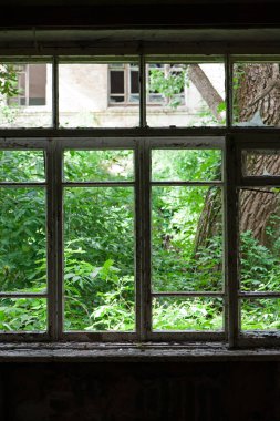 Eski ahşap çerçeveli kırık cam pencere. Eski pencere. Kırık camlar. Eski ev, retro. Kırık pencere çerçevesi. Çatlak eski boya, cam parçaları. Yakın çekim, mesaj için yer. Korku, cadılar bayramı