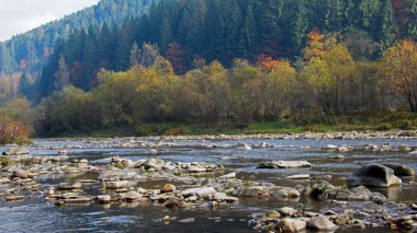 dağlar, taştan sahil, dağ nehri, sonbahar ormanı ve bulutlu gökyüzü. Kayalık kıyıları olan dağ nehri. Dağlarda güneşli bir gün. Batı doğası. Turizm, Karpatlara seyahat.
