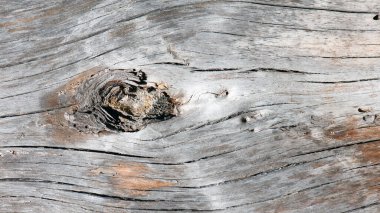 Tahta desenli eski tahtalar. Dikey, antika tahtalar. Sunumlar ve metin için şık bir arkaplan. Eski tahtaların soyut dokusu. Ahşap yok oldu. Ahşap doku. Düğümler, kusurlu yüzey