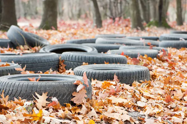 Doğadaki ağaçlar arasında siyah eski araba lastikleri. Çevre kirliliği. Ekoloji sorunları. Sonbahar yapraklarında araba lastikleri ormana atılmış. Ukrayna, Kiev, yazı işleri.