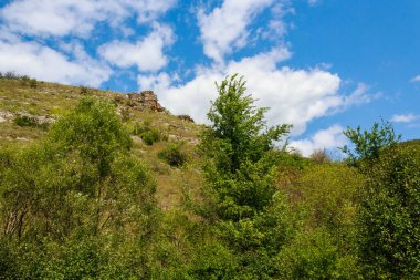Doğu Avrupa 'nın vahşi kayalık ve dağlık doğası. Metin için kopya alanı olan peyzaj arkaplanı. Seçici odaklanma, uyumlu. Tipovo veya Tipova köyü, Moldova 'ya hoş geldiniz..