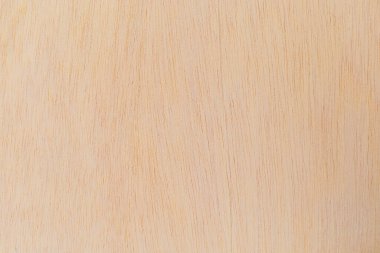 Afrika 'daki bir ağacın açık dokulu kesik yüzeyi. Ahşap zemin ya da tasarım için boş. Metin veya etiketler için bir grafik kaynağı ya da altında yatan.