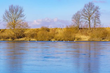 Nehir kıyısının güzel manzarası sakin bir kış yaban hayatı. Metin için kopyalama alanı olan arkaplan