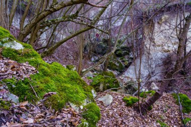 Rocky wilderness. Background or backdrop with selective focus and copy space for text
