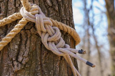 İpte turist düğümü. Metin için kopyalama alanı olan arkaplan