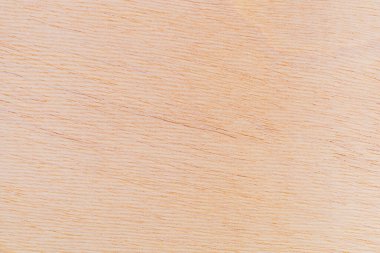 Afrika 'daki bir ağacın açık dokulu kesik yüzeyi. Ahşap zemin ya da tasarım için boş. Metin veya etiketler için bir grafik kaynağı ya da altında yatan.