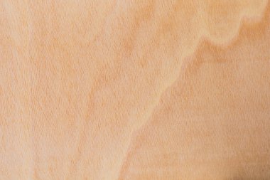 Afrika 'daki bir ağacın açık dokulu kesik yüzeyi. Ahşap zemin ya da tasarım için boş. Metin veya etiketler için bir grafik kaynağı ya da altında yatan.