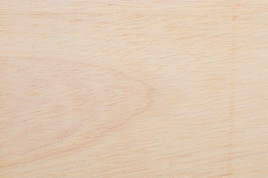 Afrika 'daki bir ağacın açık dokulu kesik yüzeyi. Ahşap zemin ya da tasarım için boş. Metin veya etiketler için bir grafik kaynağı ya da altında yatan.