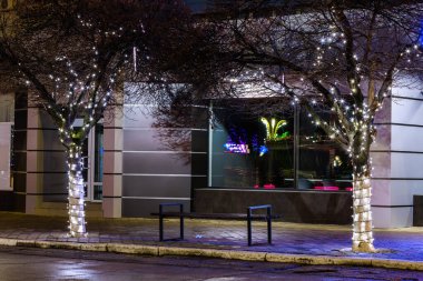 Geceleri ağaç gövdesinde parlayan çelenkler, seçici bir odak noktası. Noel ve Yeni Yıl tatili hazırlıklarının arka planı.