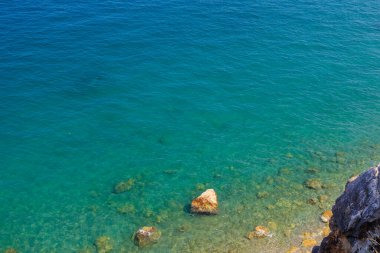 Çok güzel bir zemin ya da deniz suyunun kayalık bir kıyısı ve seçici bir odağı var..