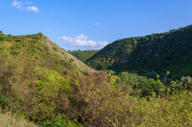 Doğu Avrupa 'nın vahşi kayalık ve dağlık doğası. Metin için kopya alanı olan peyzaj arkaplanı. Seçici odaklanma, uyumlu. Tipovo veya Tipova köyü, Moldova 'ya hoş geldiniz..