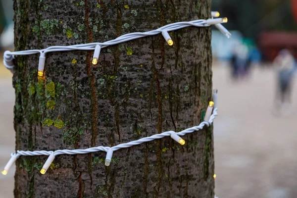 stock image Garlands on a tree trunk, selective focus. Background of preparation for Christmas and New Year holidays.