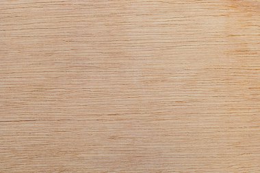 Afrika 'daki bir ağacın açık dokulu kesik yüzeyi. Ahşap zemin ya da tasarım için boş. Metin veya etiketler için bir grafik kaynağı ya da altında yatan.