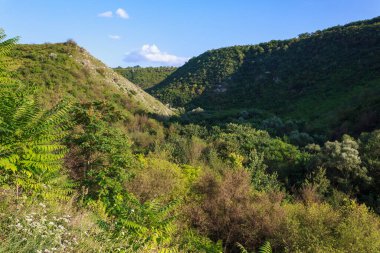 Doğu Avrupa 'nın vahşi kayalık ve dağlık doğası. Metin için kopya alanı olan peyzaj arkaplanı. Seçici odaklanma, uyumlu. Tipovo veya Tipova köyü, Moldova 'ya hoş geldiniz..