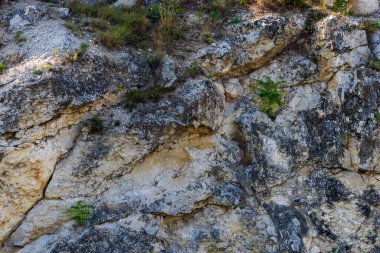 Doğu Avrupa 'nın vahşi kayalık ve dağlık doğası. Metin için kopya alanı olan peyzaj arkaplanı. Seçici odaklanma, uyumlu. Coban ya da Cobani köyü, Moldova 'ya hoş geldiniz..